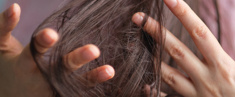 Dry Hair